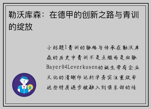 勒沃库森：在德甲的创新之路与青训的绽放