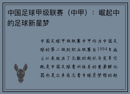 中国足球甲级联赛（中甲）：崛起中的足球新星梦